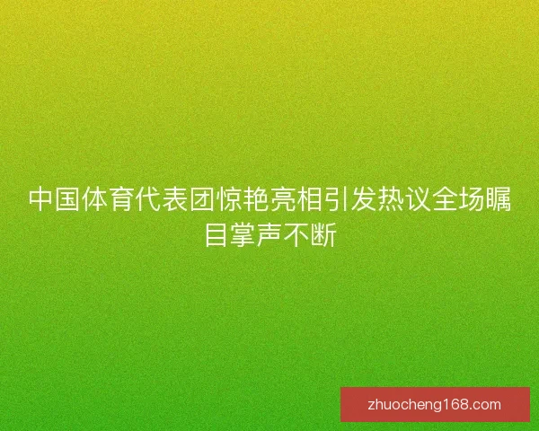 中国体育代表团惊艳亮相引发热议全场瞩目掌声不断